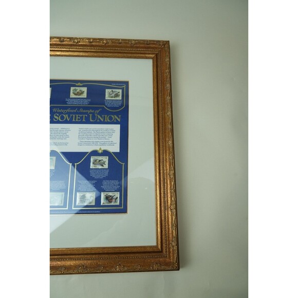 Soviet Union Waterfowl Stamps 1989-1991 | Gold-Framed Display Page | Collectible - Picture 11 of 16